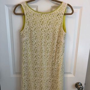 Loft Off white lace dress size 6